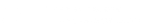 SSL Logo